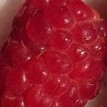 07-02-15 "raspberry red"